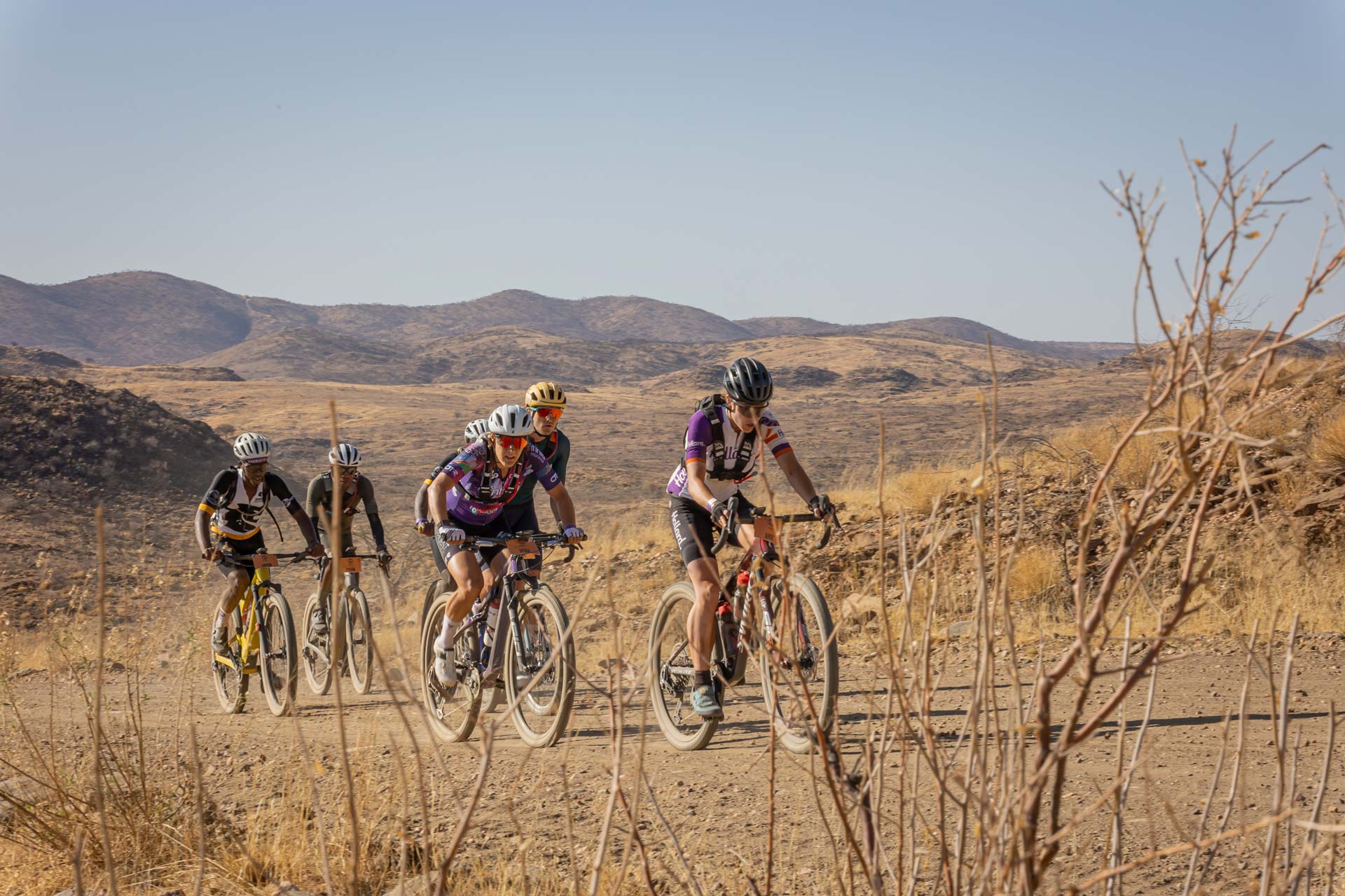 Newsletter 3 – August 2025