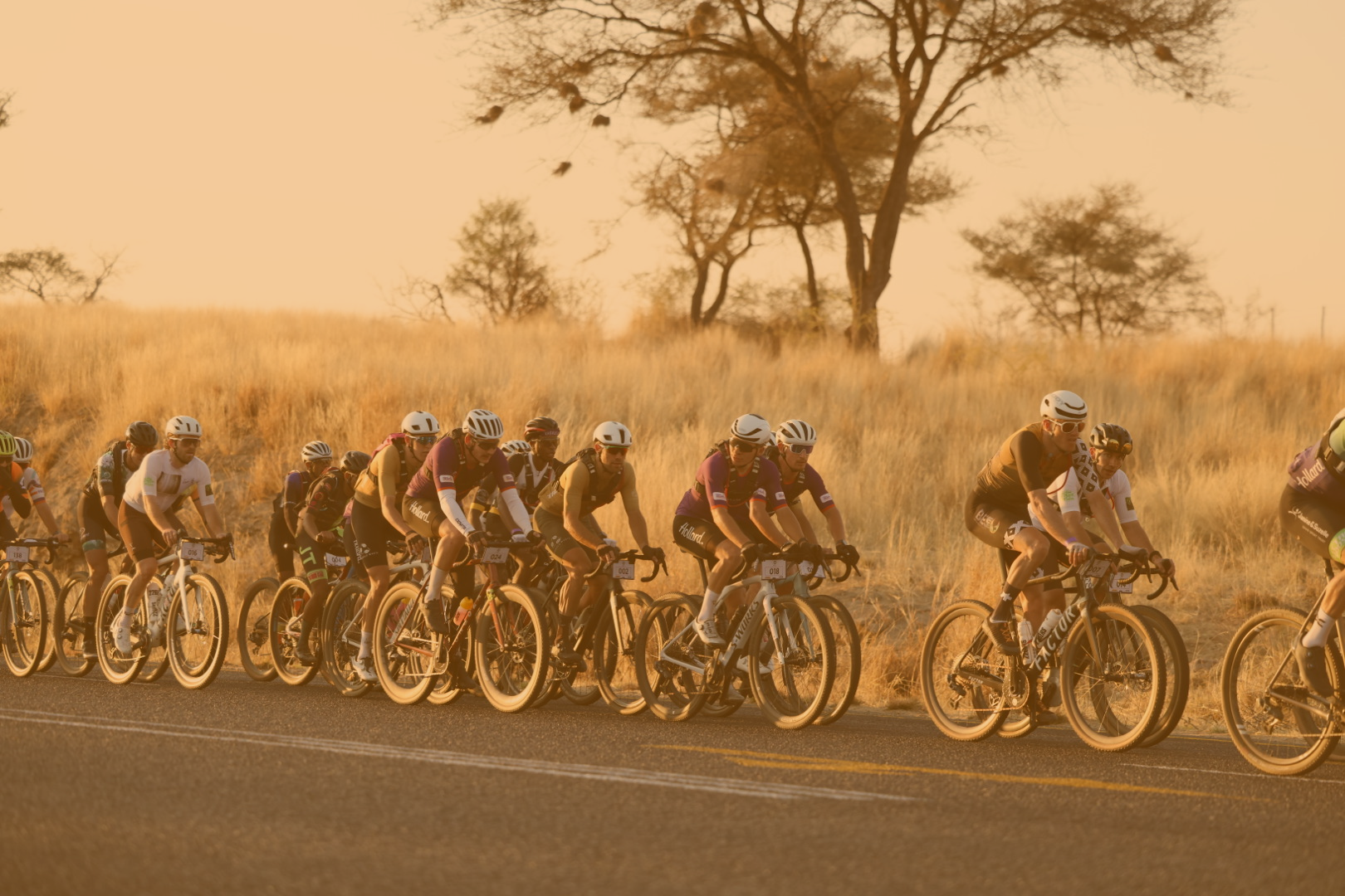 Cyclists on the road in the late afternoon.